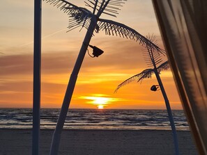 Estudi, diversos dormitoris, fumadors, vistes al jardí | Platja
