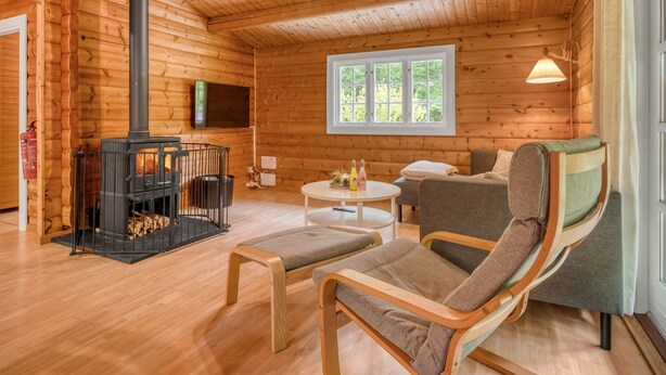 L’intérieur d’un chalet confortable, avec une cheminée, des murs en bois, un canapé et un téléviseur.