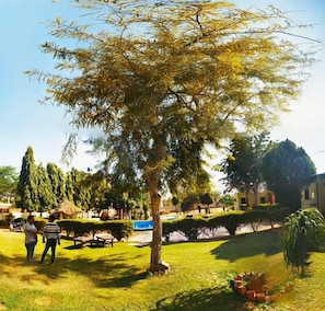A tree-lined courtyard with a pool, benches, and a thatched-roof structure. - Hotel Hillview  (Pushkar)