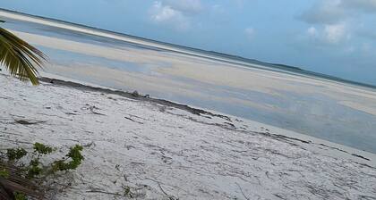 One bedroom Beach Retreat
Rolleville, Exuma