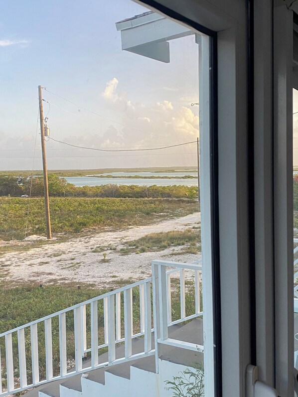A view from a balcony overlooking a beach with a sandy path and vegetation.