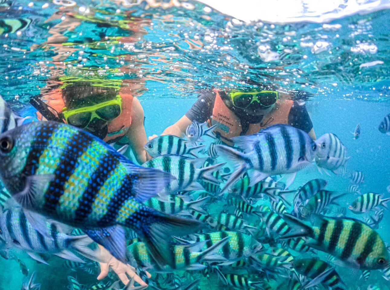 Cena subaquática com dois mergulhadores com snorkel rodeados por um cardume de peixes.