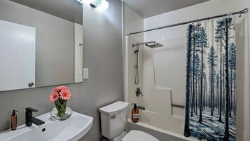 Hiustenkuivaaja, pyyhkeet, saippua, sampoo