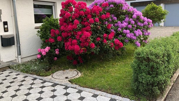 Una casa con techo de tejas, una ventana y un jardín con arbustos florecientes.