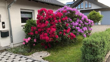 DĂ©tail de lâextĂ©rieur