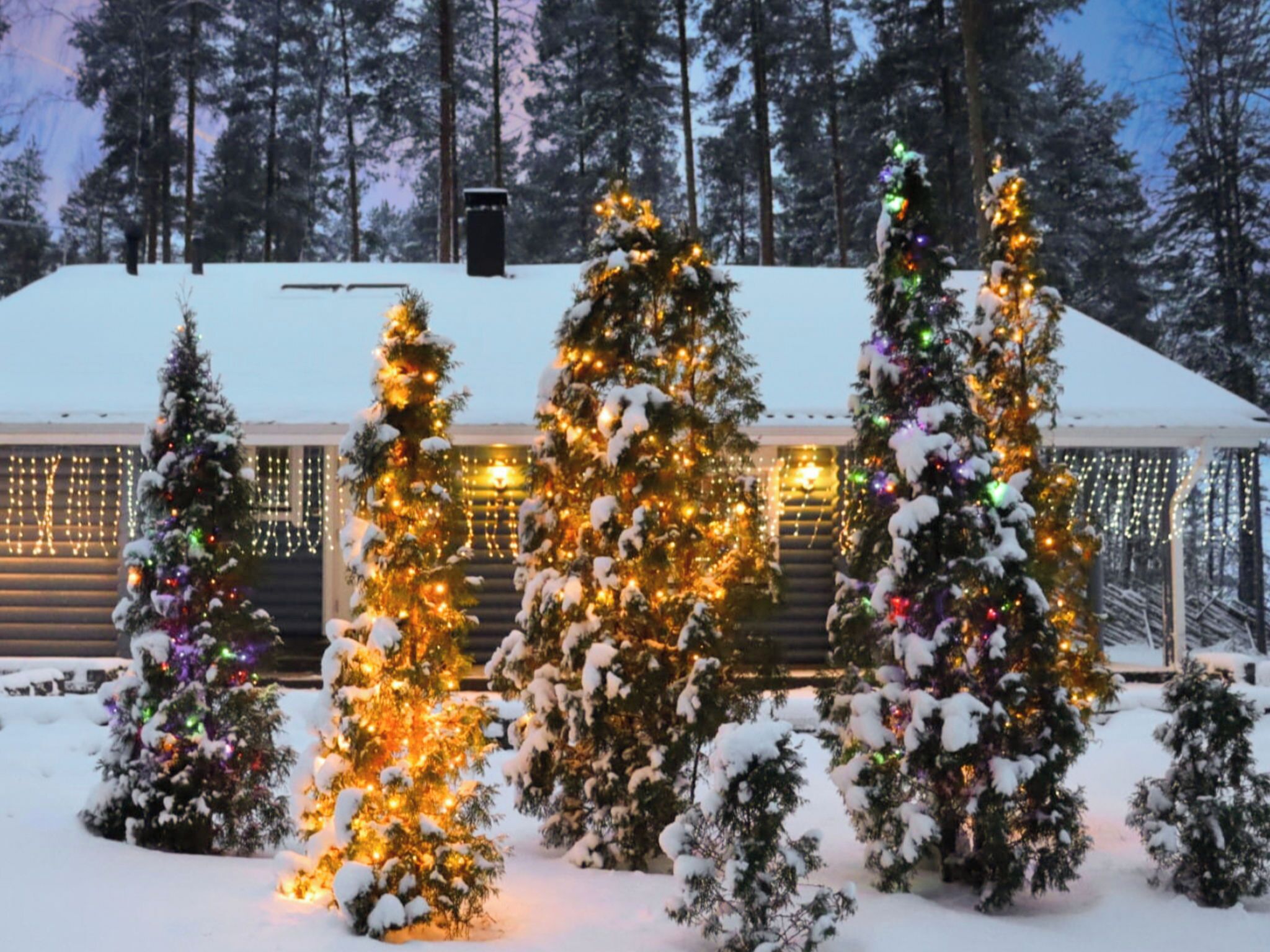A log cabin with multiple Christmas trees adorned with lights, surrounded by snow.
