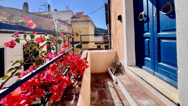 Un étroit couloir extérieur avec une porte bleue, une rambarde en métal et des fleurs rouges.