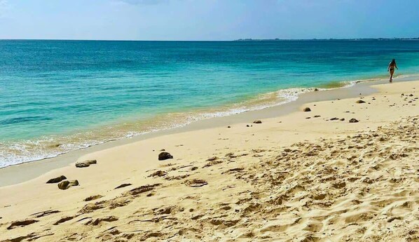 Plage à proximité