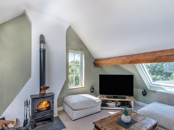TV, fireplace