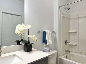Regadera, secadora de cabello, toallas, shampoo 