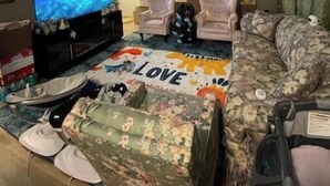 A living room with a television, two armchairs, a couch, and a patterned rug. - Charming 2-bedroom bed & breakfast with AC, WiFi in awesome Indianapolis (Indianapolis)