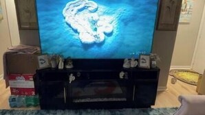 A living room with a flat-screen TV on a stand, a coffee table with a dinosaur-themed game, and a sofa. - Charming 2-bedroom bed & breakfast with AC, WiFi in awesome Indianapolis (Indianapolis)