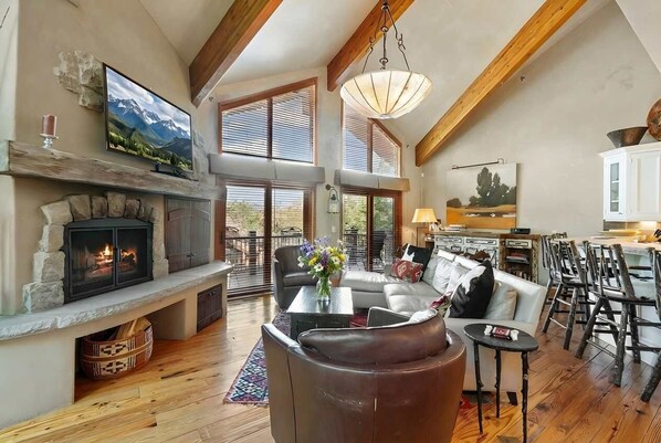 TV, fireplace, DVD player, books