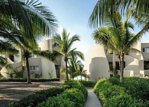 Un resort caratterizzato da architettura moderna, palme e un vialetto che conduce all'edificio.