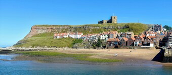 Hidden Treasure-UK48779