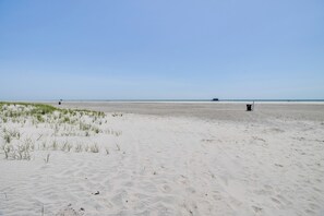 Ein weiter, sandiger Strand mit vereinzelter Vegetation und blauem Himmel.