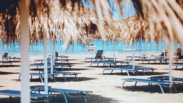 Una playa con filas de tumbonas y sombrillas de paja, con vista al mar.