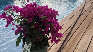 A swimming pool with lounge chairs and kayaks. - Villa with pool Pessac between Bordeaux and Bassin d'Arcachon (Pessac)