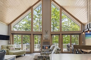 Smart TV, fireplace, books