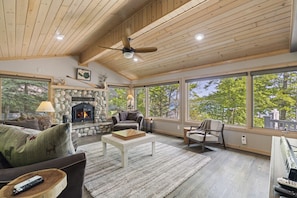 Smart TV, fireplace, books