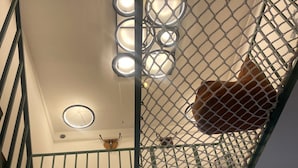 A staircase with a metal railing, a ceiling with circular lights, and a view of the outside through a window.
