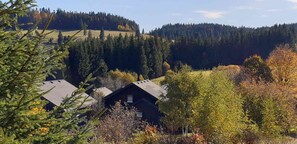 Exterior - Holiday Home 'Bernau13, Rechbergblick' with Mountain View, Shared Garden and Wi-Fi (Bernau im Schwarzwald)