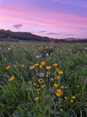 Botó d’imatge sense classificar, 4 de 17