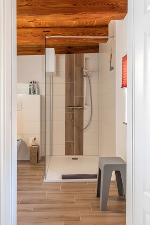 Shower, hair dryer, towels - Apartment 'Scheibe' with Mountain View and Wi-Fi (Bertsdorf-Hörnitz)