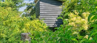 "Alfa" - 350m from the sea by Interhome