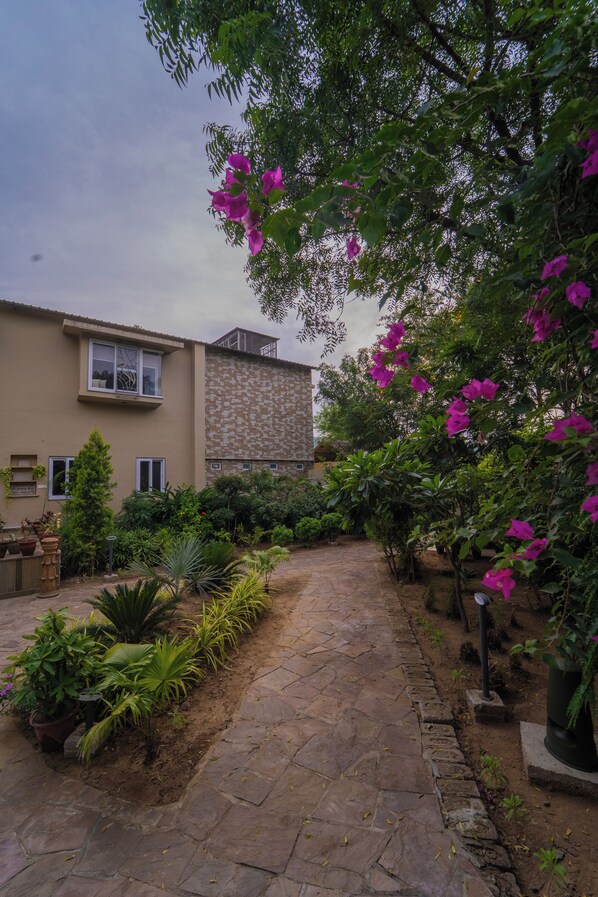 A courtyard with a stone pathway, various plants, and a building with a beige facade and a stone section.