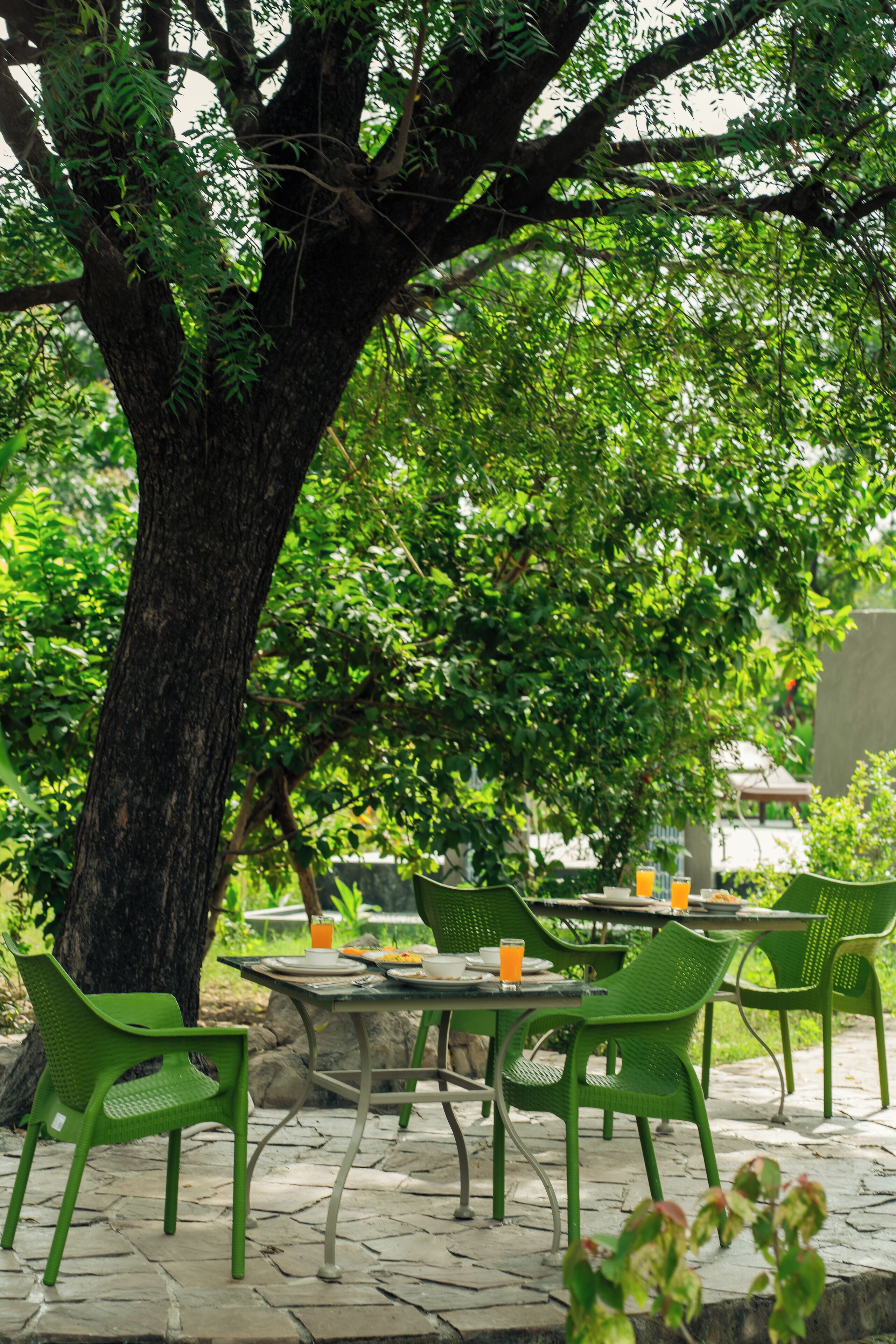 Restaurante al aire libre