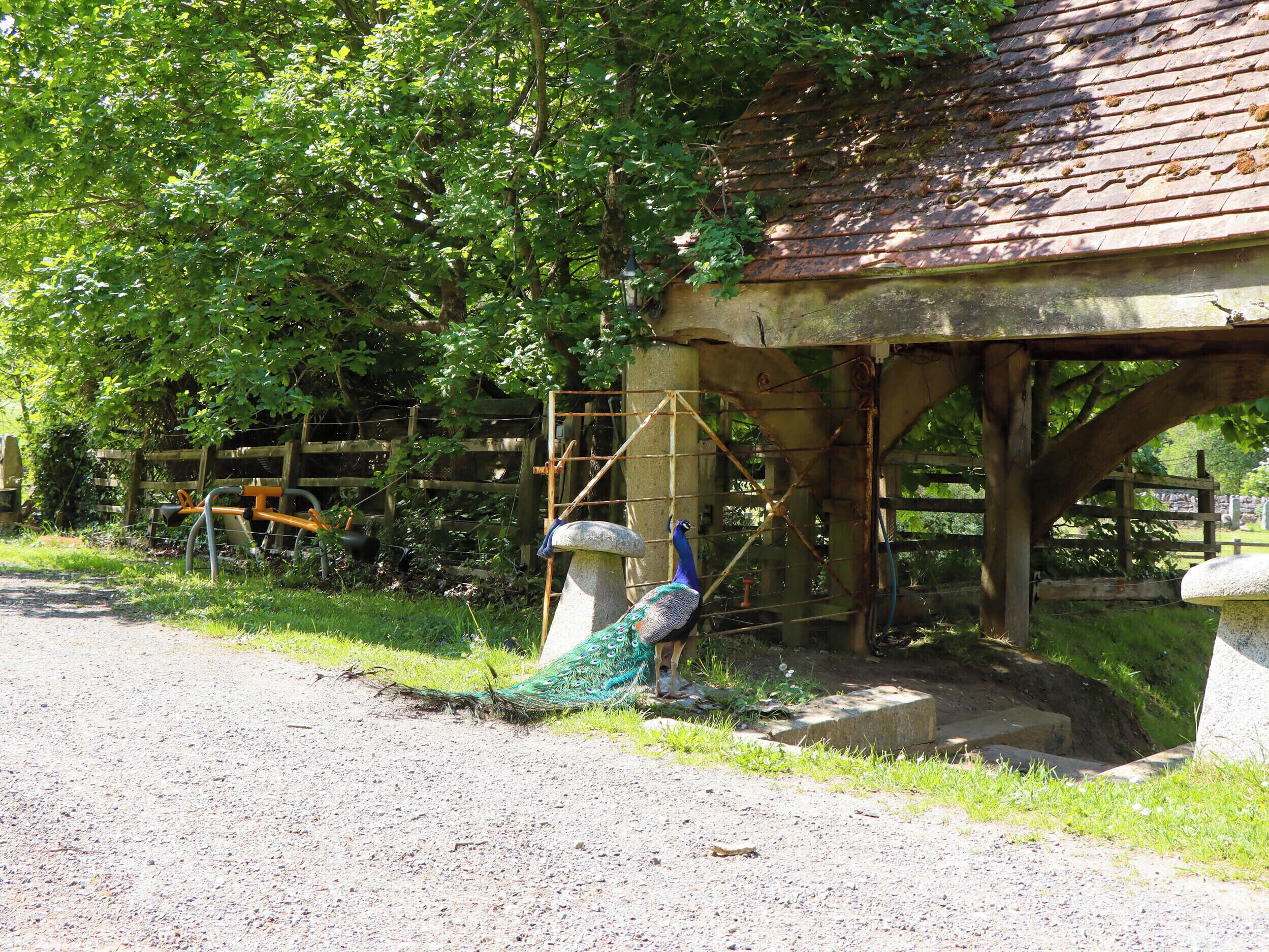 المنطقة المحيطة بالمنشأة