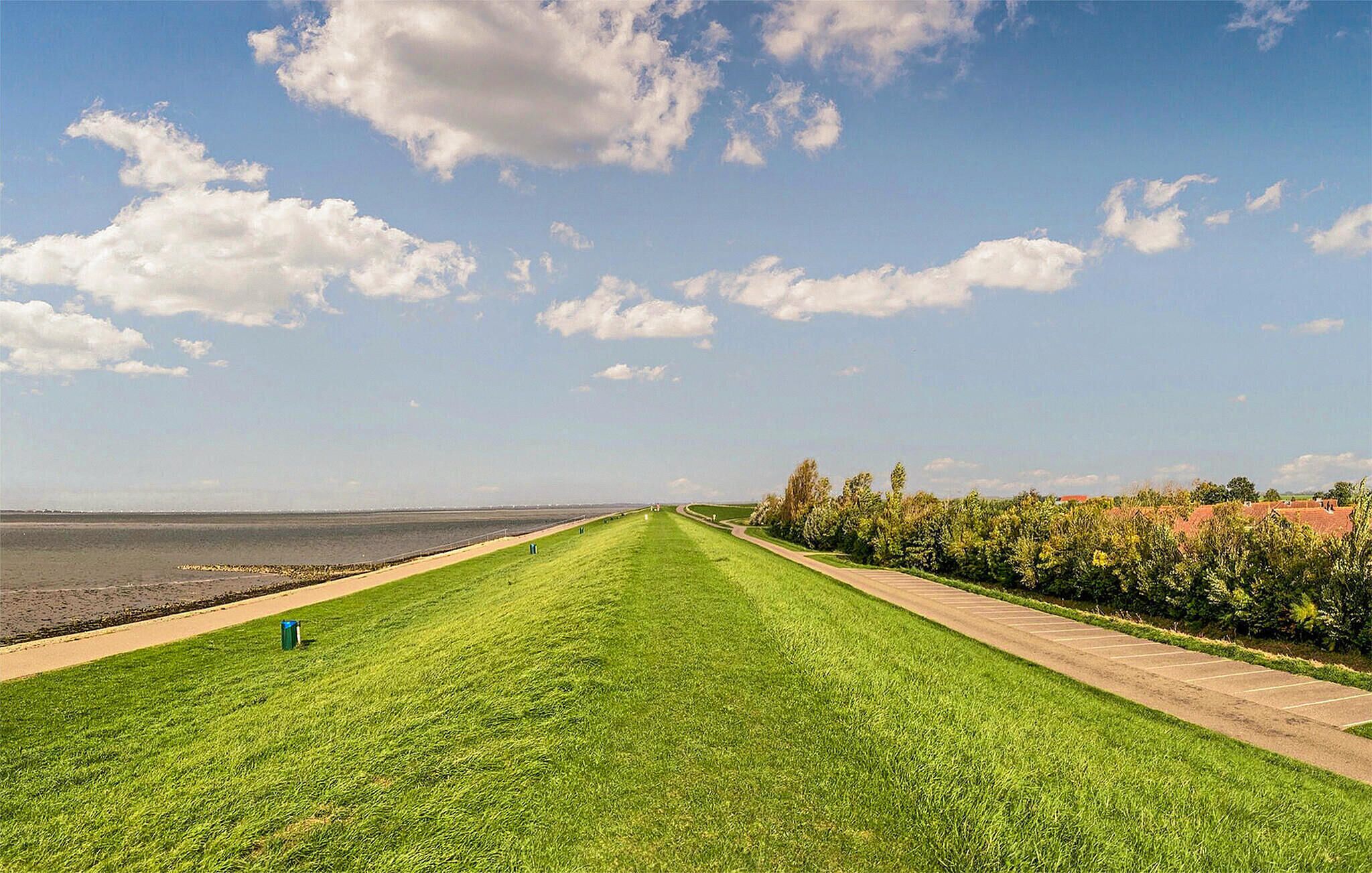 Een lange, rechte pad dat naar een waterpartij leidt, omzoomd door groen gras en bomen.