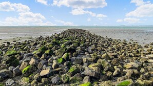 Una playa rocosa con una larga extensión de piedras que llegan al mar bajo un cielo despejado.