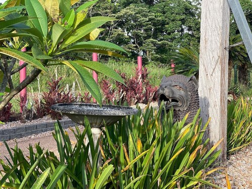 Serenity Rooms for couples & individuals | Luxury Rainforest Meets Reef | Sleeps up to 2