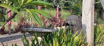 Serenity Rooms for couples & individuals | Luxury Rainforest Meets Reef | Sleeps up to 2