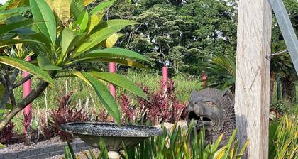 Serenity Rooms for couples & individuals | Luxury Rainforest Meets Reef | Sleeps up to 2