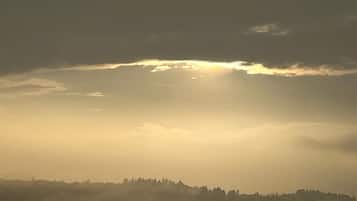 Een landschap met een bewolkte lucht en de silhouet van een heuvel of bergketen.