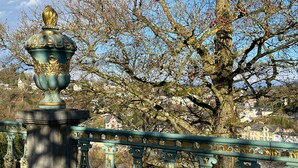 A bridge with ornate railings and a decorative balustrade. - Private Room 'Auf dem Karlsberg' with Wi-Fi (Weilburg)