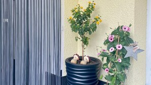 A welcome sign, a vertical striped curtain, and two potted plants with flowers. - Apartment 'An Der Quell' with Private Terrace, Private Garden and Wi-Fi (Blankenheim)