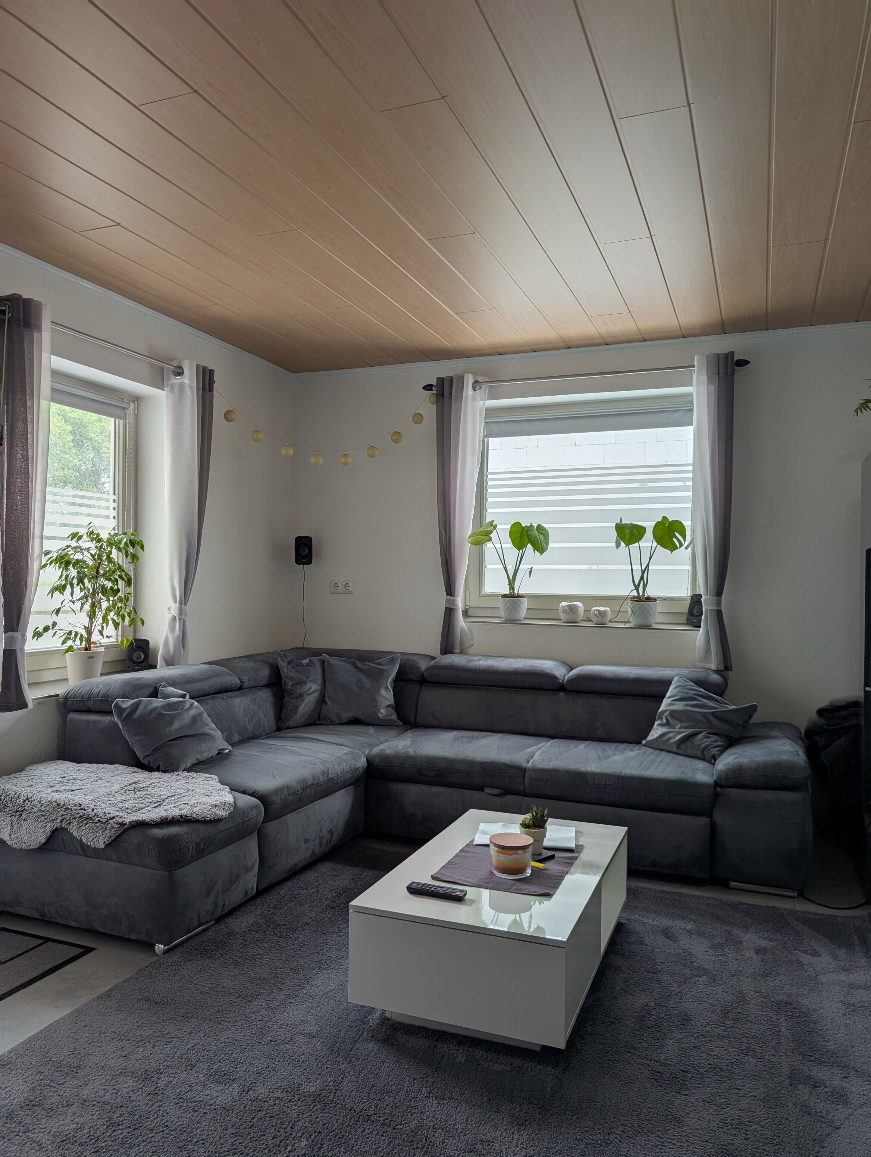 Fernseher, Videospielkonsole