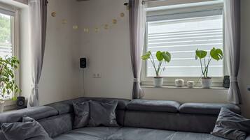 Fernseher, Videospielkonsole