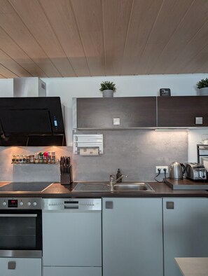 A modern kitchen with a built-in oven, dishwasher, and a stainless steel sink. - Apartment 'An Der Quell' with Private Terrace, Private Garden and Wi-Fi (Blankenheim)