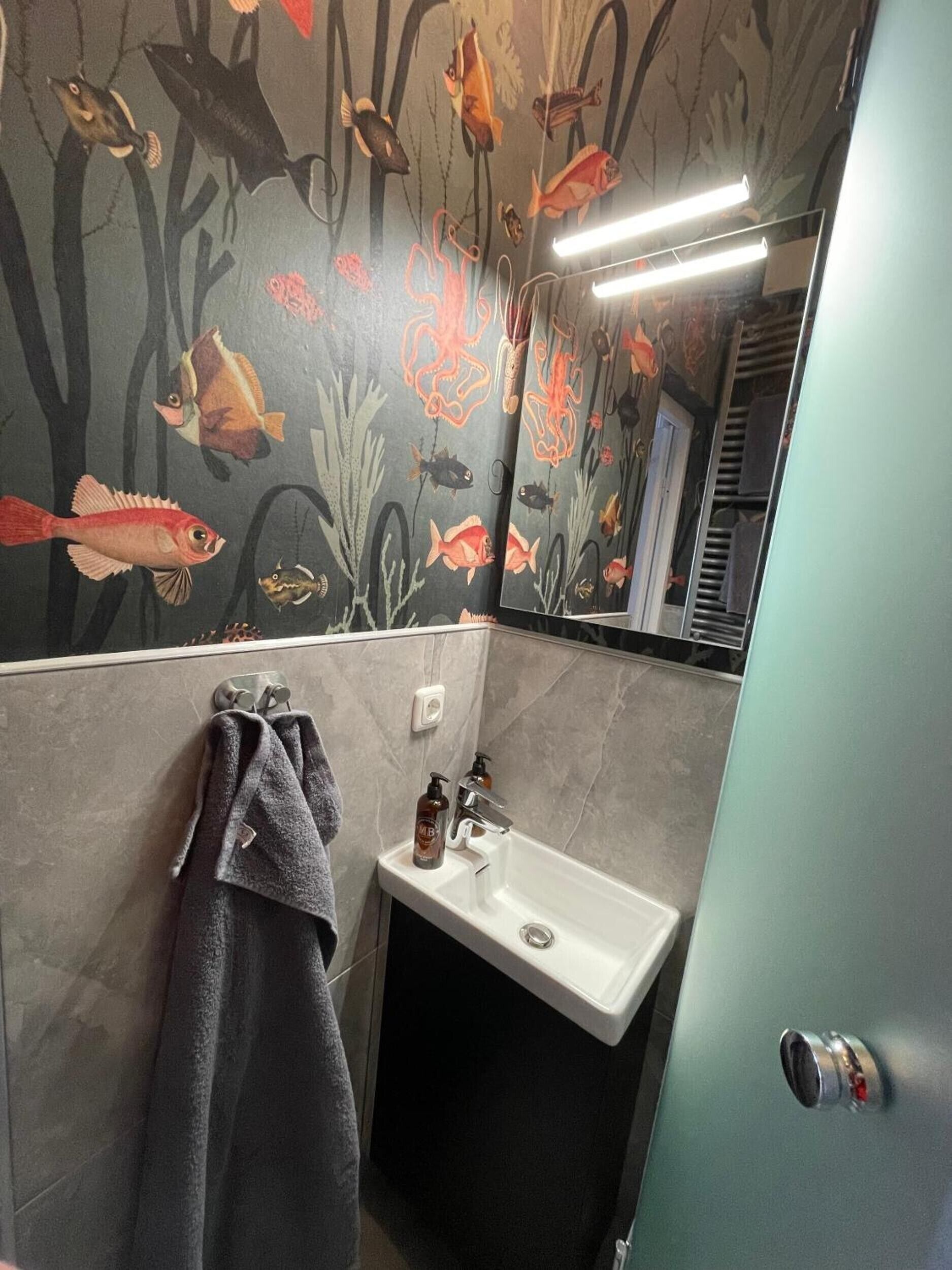 Douche, sèche-cheveux, serviettes fournies