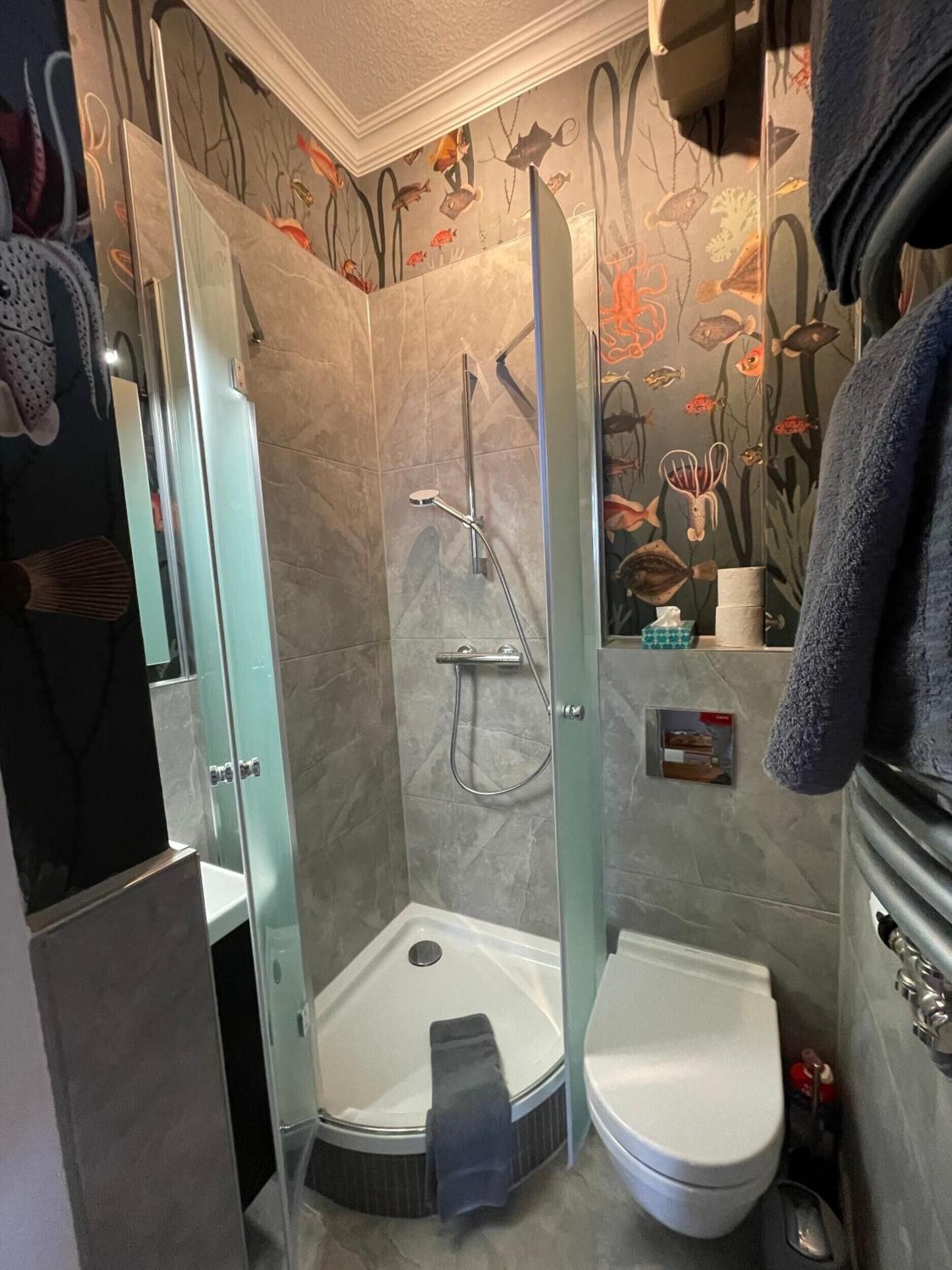 A modern bathroom with a glass-enclosed shower, a toilet, and a towel rack.