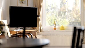A room with a television on a stand, a window with curtains, and a radiator below.