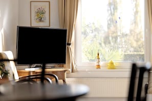 Een kamer met een televisie op een standaard, een raam met gordijnen, en een radiator eronder.