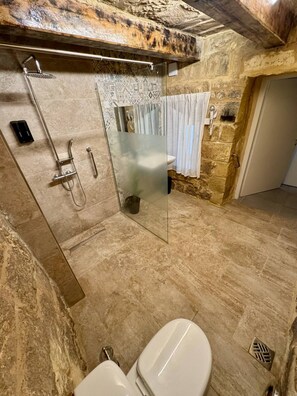 Shower, hair dryer