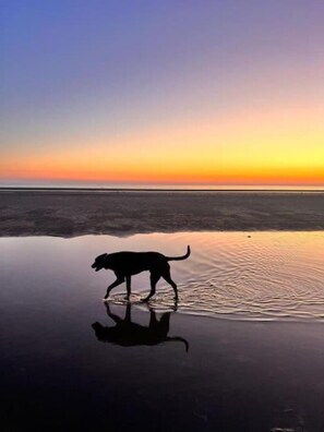Ubicación cercana a la playa