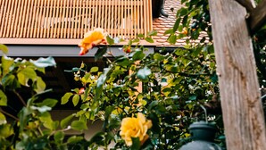 A wooden balcony with a tiled roof, surrounded by greenery and a lantern. - Holiday Apartment 'Alte Schneiderei' with Balcony and Wi-Fi (Heideck)